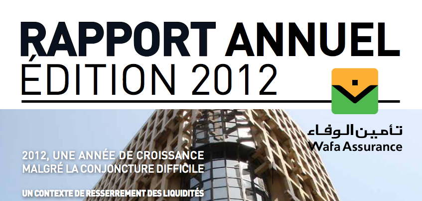 le_rapport_annuel_2012